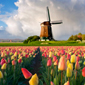 Thumb_40sweetspotsforspring