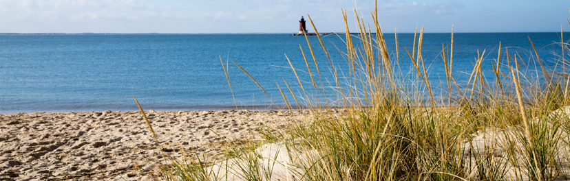 Cape Henlopen State Park, Lewes, Delaware