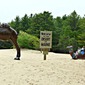 Thumb_img_eb2478398f404f40c9b8f4e88cd8c2bd
