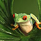 Thumb_ecotouristhotspots