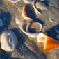 Thumb_secludedusbeaches